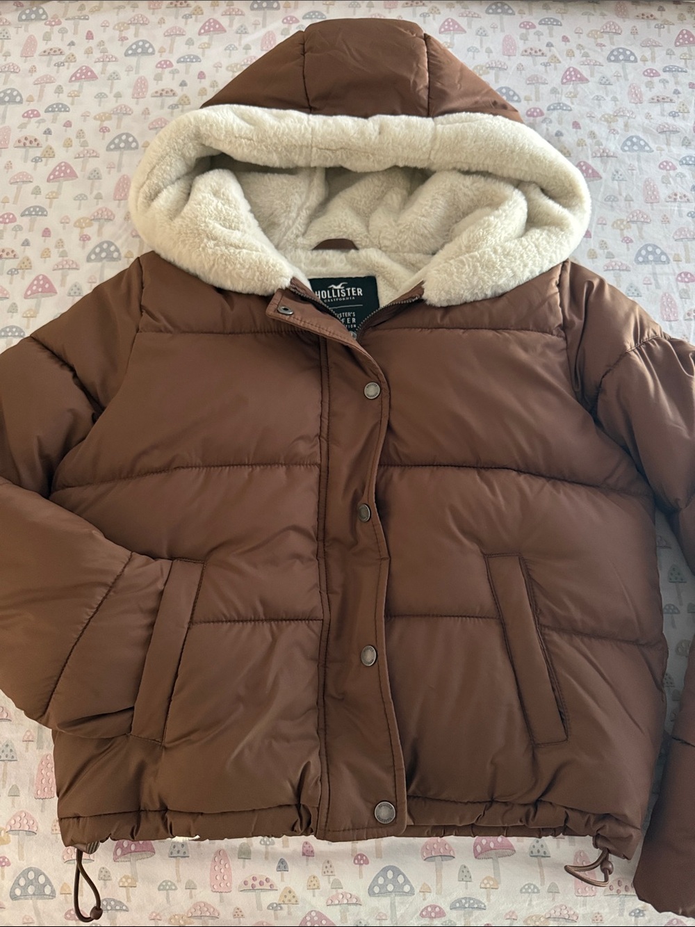 Hollister coat